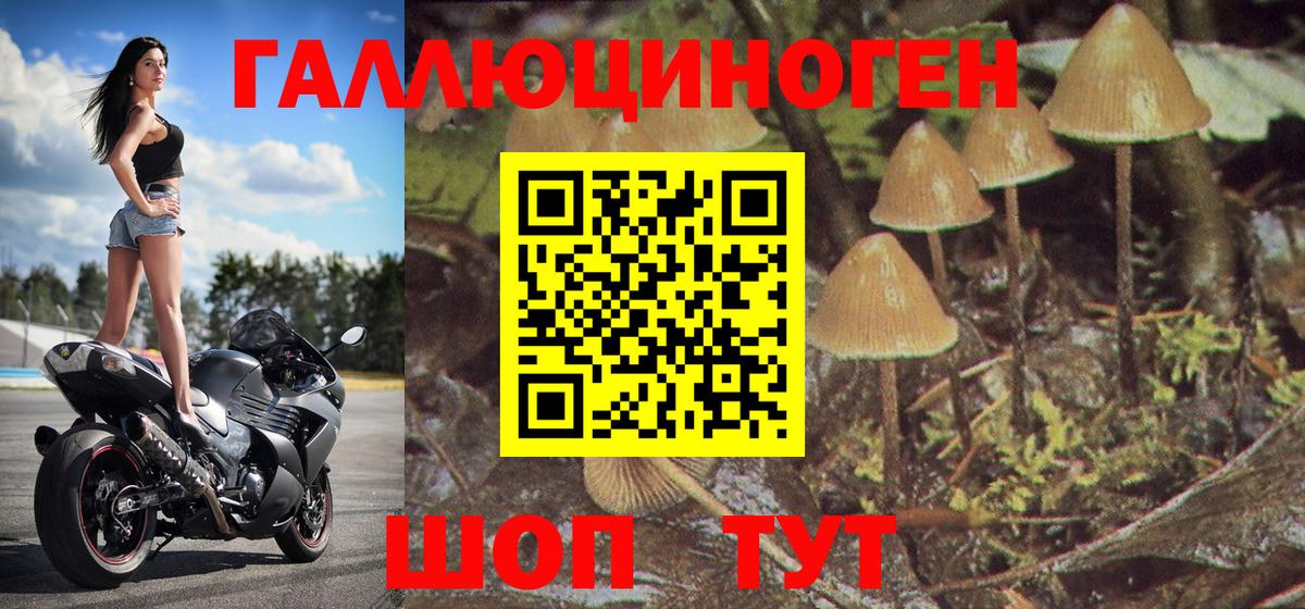 Железногорск  Псилоцибиновые грибы Psilocybe  Вход с VPN  наркошоп  Псилоцибиновые грибы MAGIC MUSHROOMS 